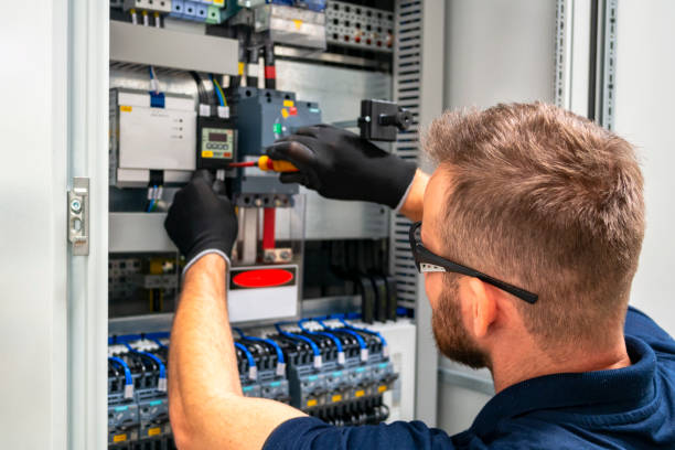 Best Electrical Upgrades for Homes  in Roselle, NJ