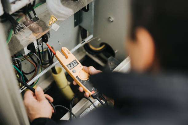 Best Electrician for Home Renovation  in Roselle, NJ